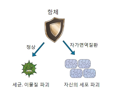 성인형 스틸병