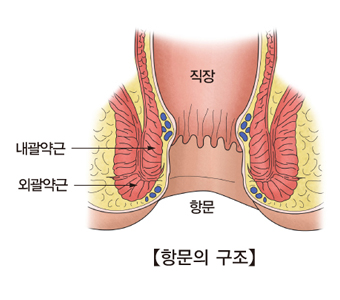 항문암