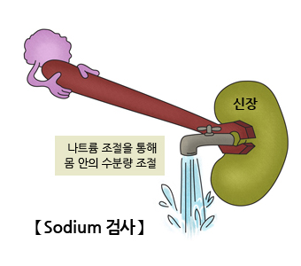 소디움